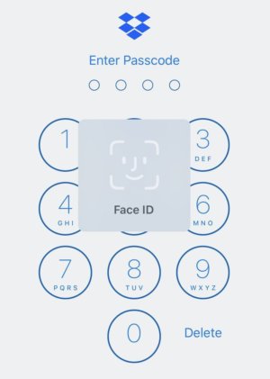 드롭박스 같은 서드파티도 앱을 업데이트해 페이스 ID를 지원한다.