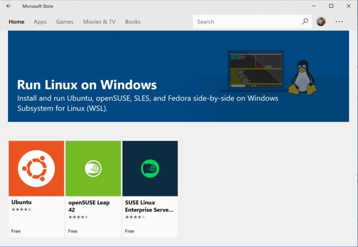 리눅스용 윈도우 서브시스템은 윈도우에서 잘 작동한다.